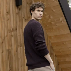 Pull Col Boutonne Bordeaux Fonce